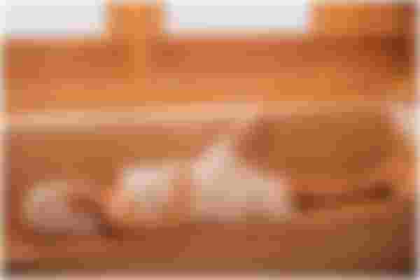 The Ultimate Sauna Guide: Expert Tips on Benefits, How to Use, and More